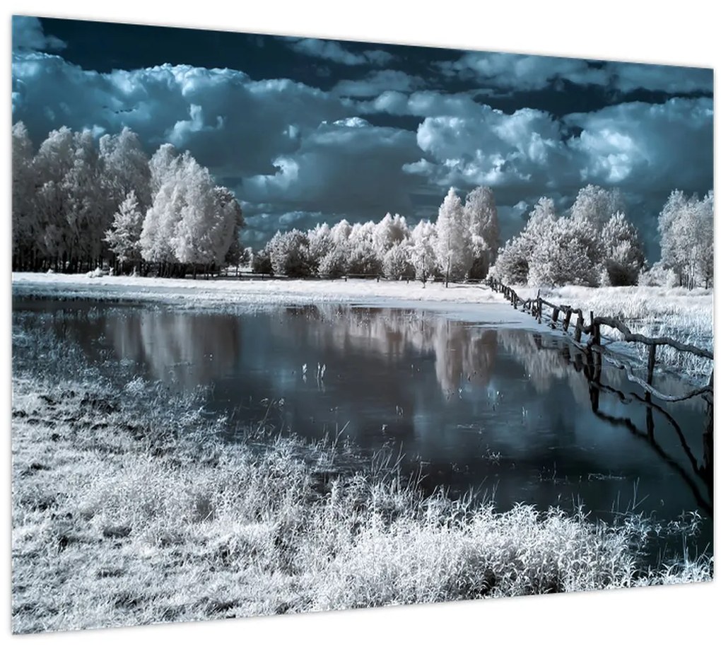 Obraz - Zamrznutá krajina (70x50 cm)