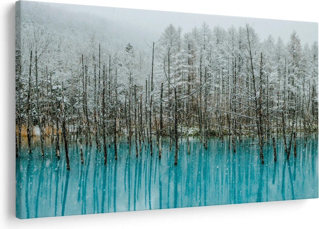 Obraz - Tyrkysový rybník, Biei, Japonsko (90x60 cm)