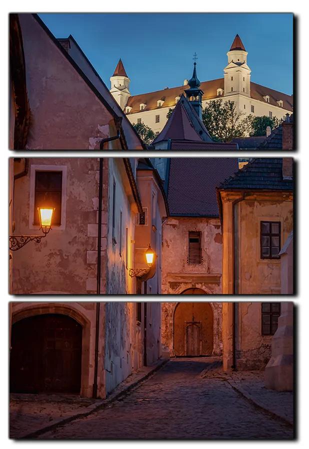 Obraz na plátne - Bratislava staré mesto s hradom vzadu - obdĺžnik 7265B (105x70 cm)
