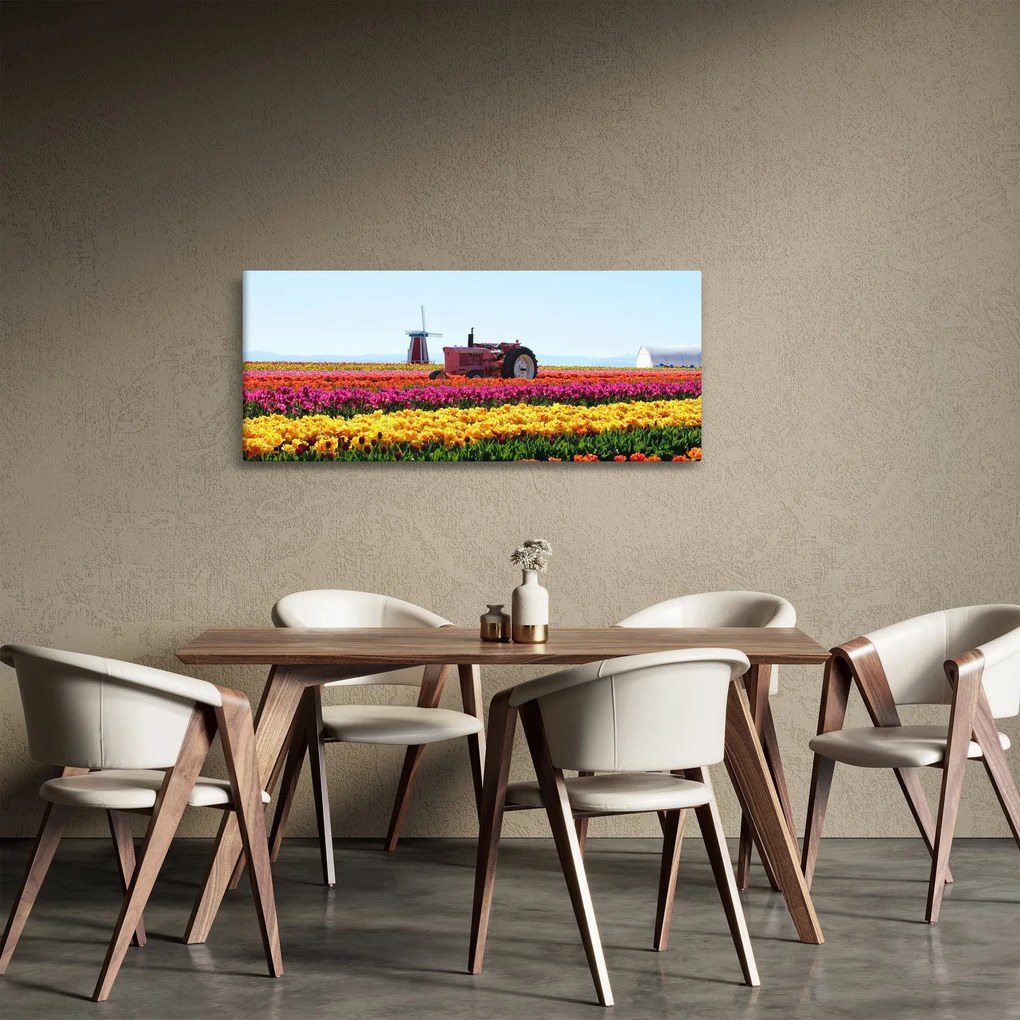 Obraz tulipánové farmy (120x50 cm)