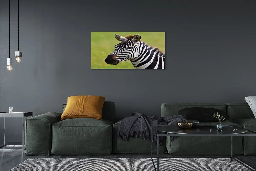 Obraz na plátne zebra 100x50 cm