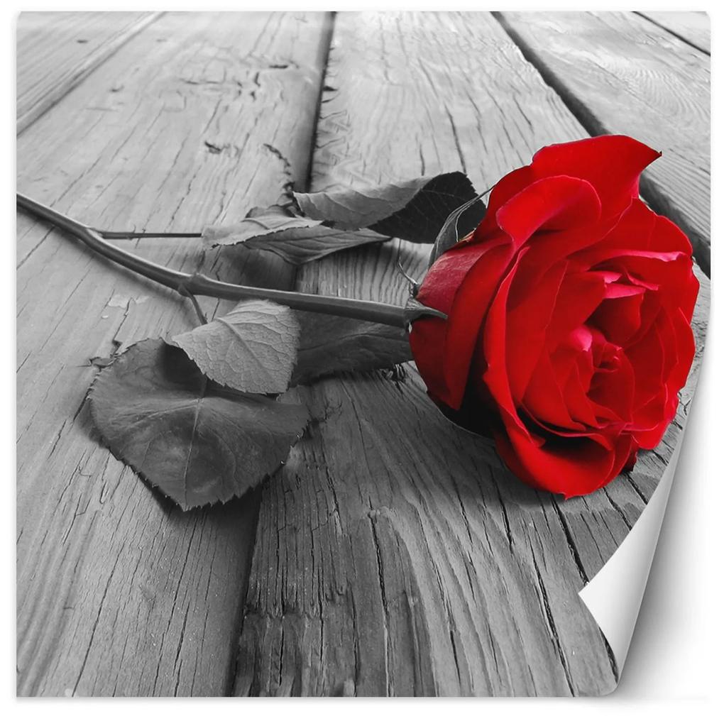 Gario Fototapeta Červená ruža na starých doskách Materiál: Vliesová, Rozmery: 100 x 100 cm