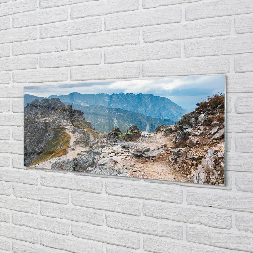 Obraz plexi Hory 120x60 cm