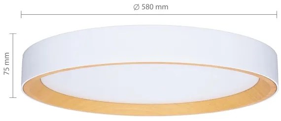 Brilagi - stmievateľné LED stropné svietidlo LARIOS LED/72W/230V biela pr. 59 cm + diaľkové ovládanie