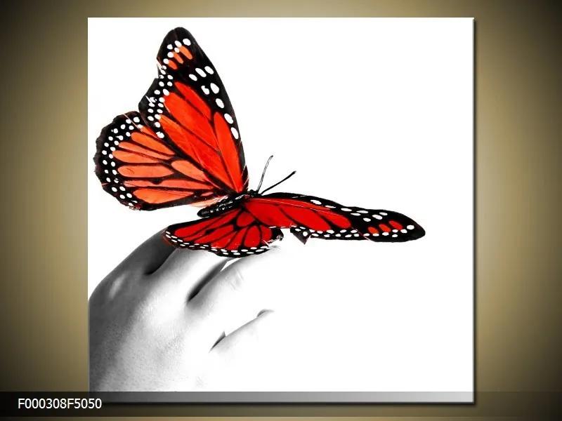 Obraz na plátne Červený motýľ, Štvorec 50x50cm 33.68 €