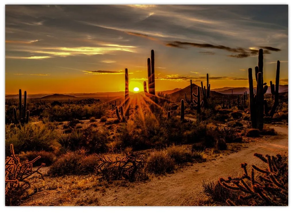 Sklenený obraz - Koniec dňa v arizonskej púšti (70x50 cm)