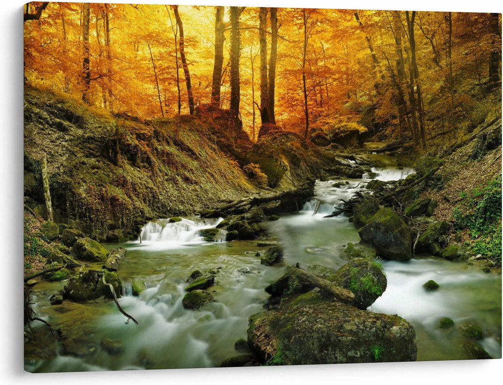 Obraz - Les (70x50 cm)