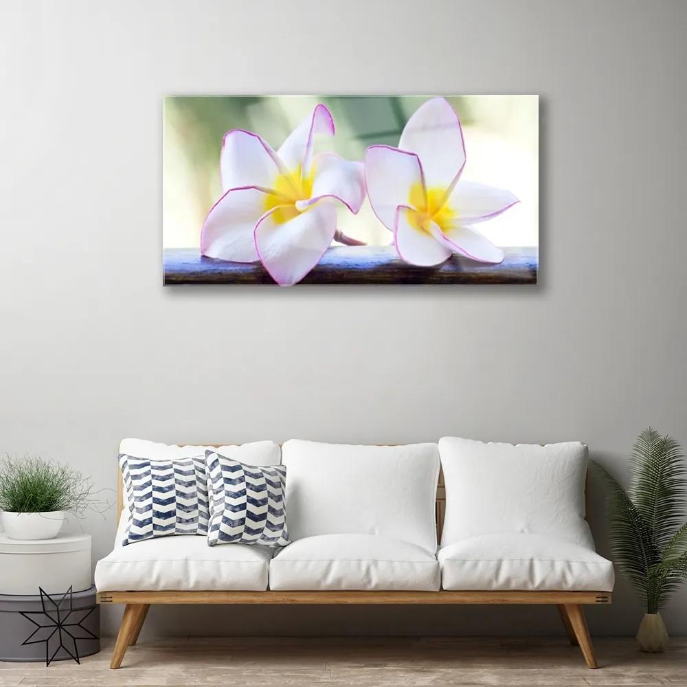 Skleneny obraz Kvety plátky plumérie 100x50 cm