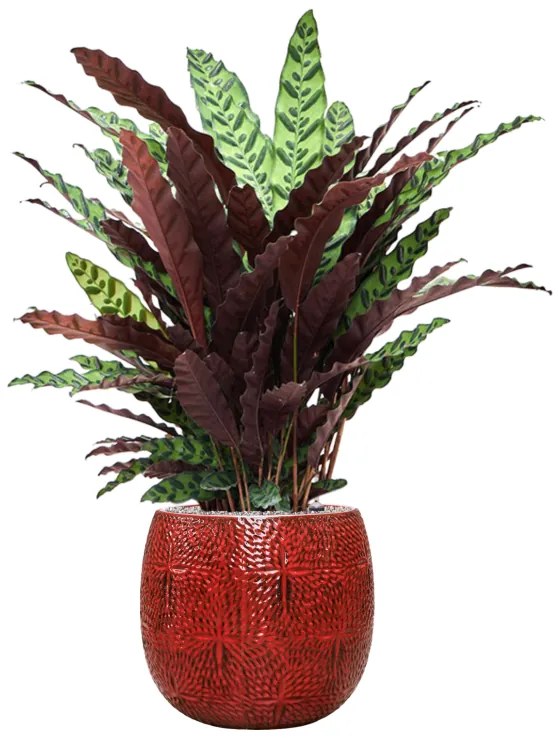 Kvetináč Marly Pot červený 30x28 cm