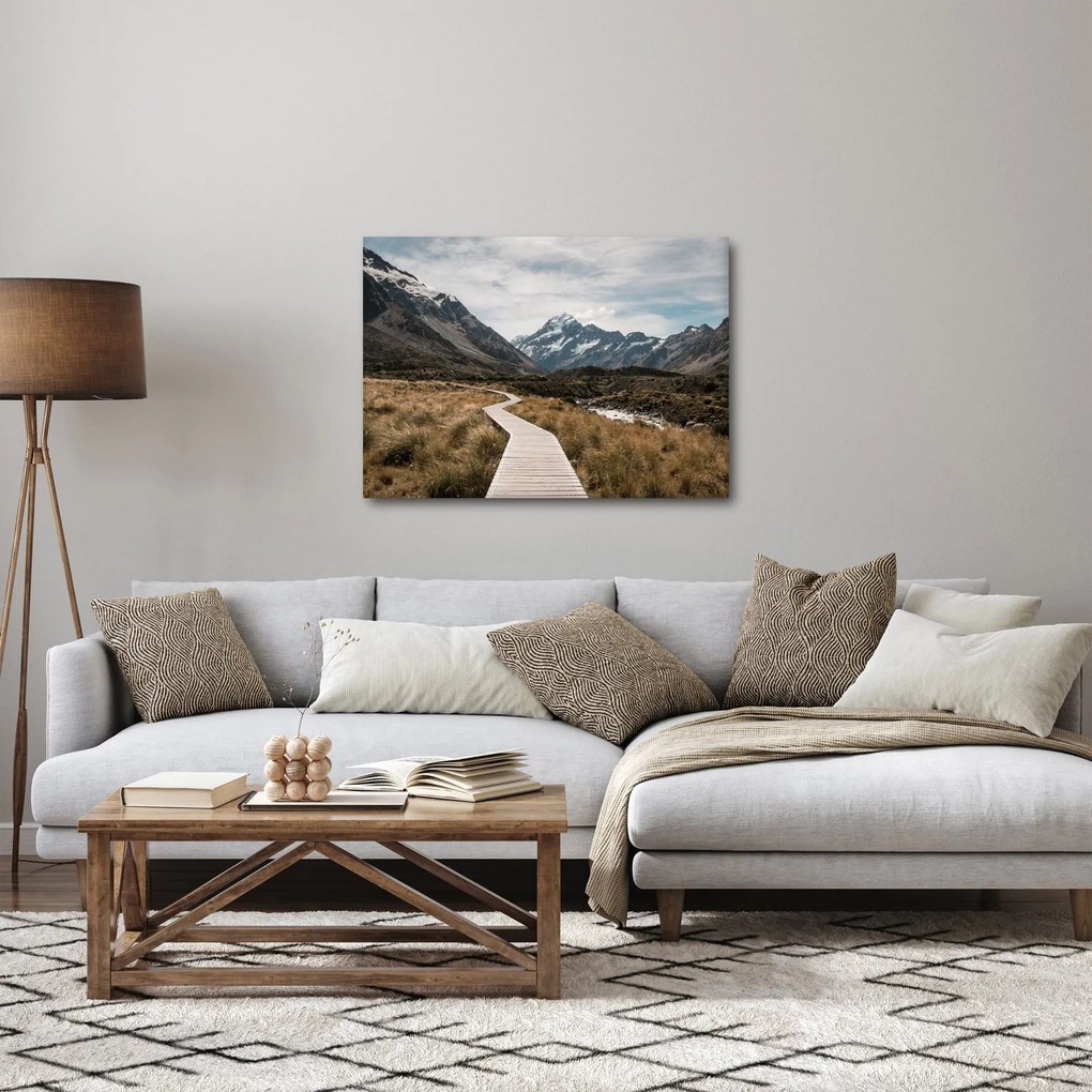 Obraz - Chodník v údolí hory Mt. Cook (70x50 cm)