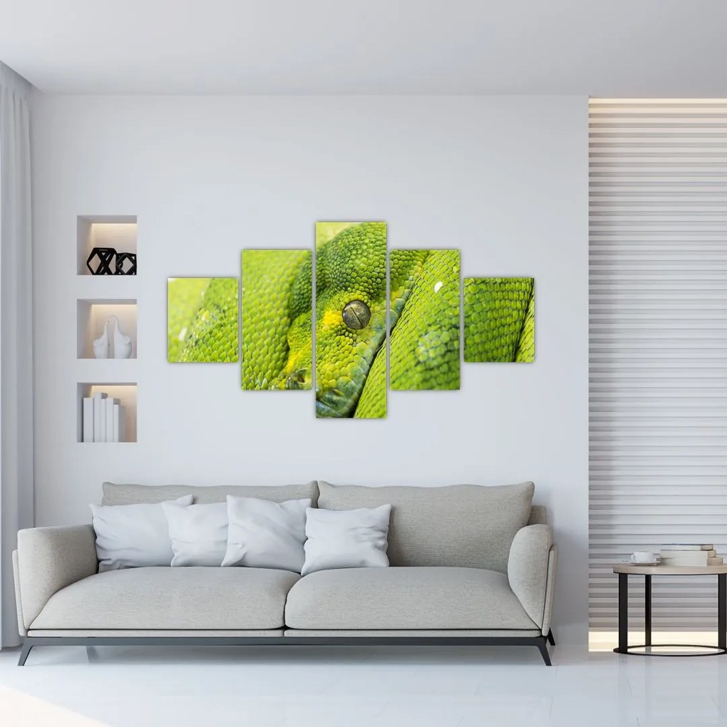 Obraz hada (125x70 cm), 40 ďalších rozmerov