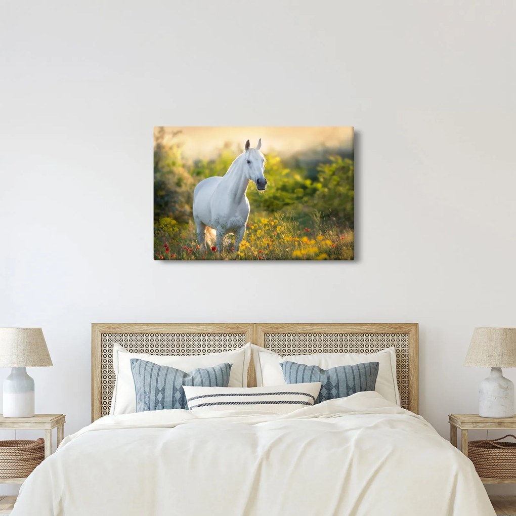 Obraz bieleho koňa na lúke (90x60 cm)