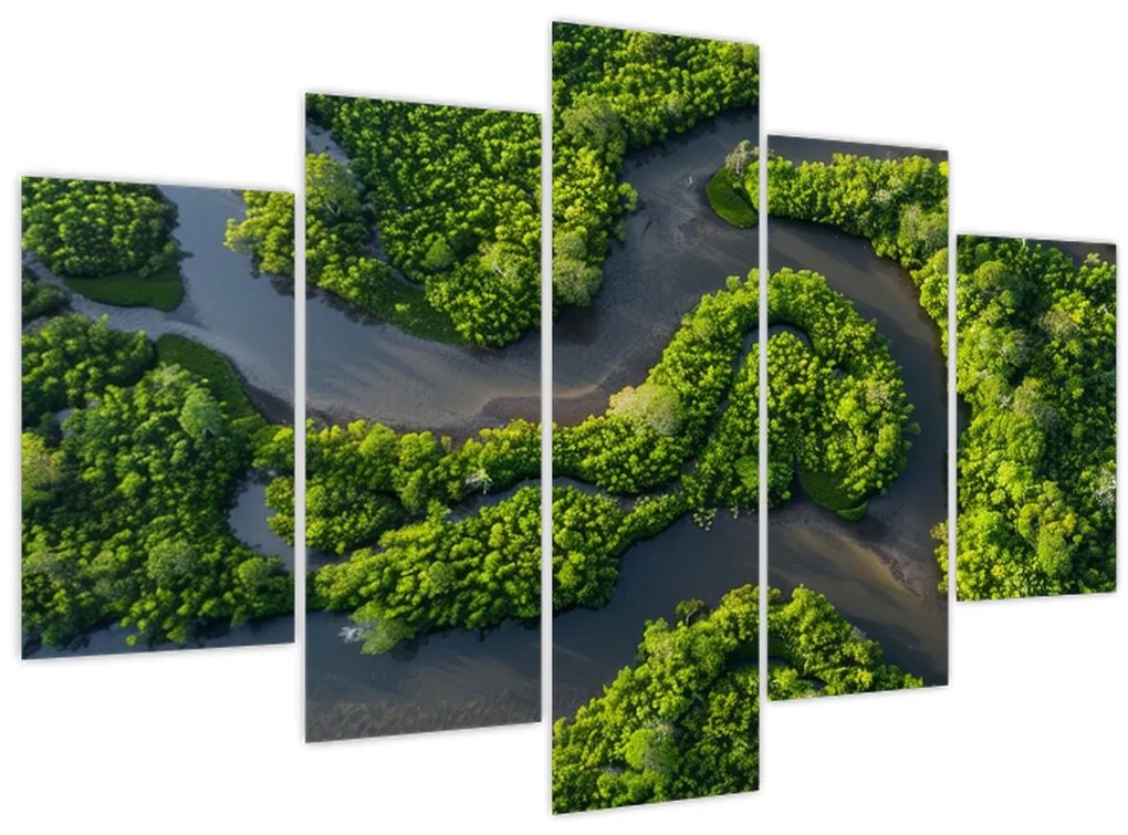 Obraz - Lesná krajina s riekou (150x105 cm)