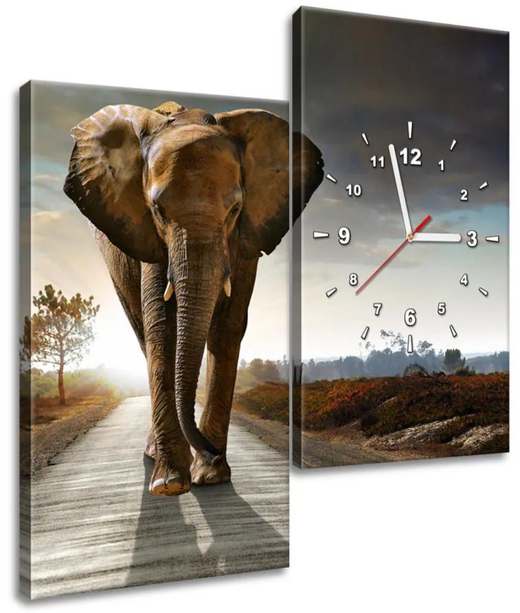 Gario Obraz s hodinami Osamelý silný slon - 2 dielny Veľkosť: 60 x 60 cm
