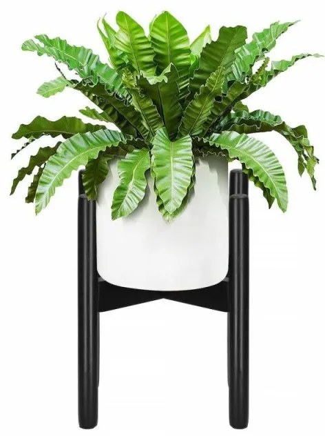 SPRINGOS Drevený stojan na kvety 30 cm, čierny SPRINGOS FLO