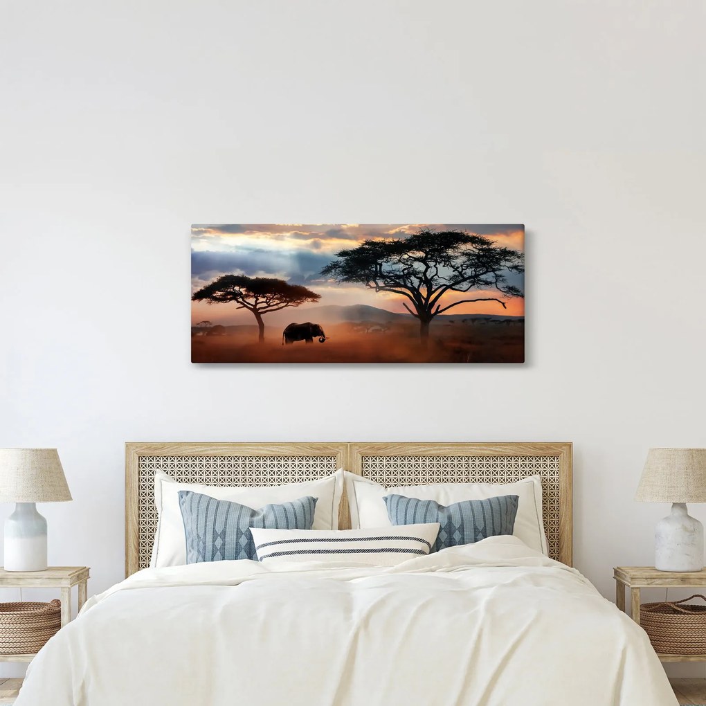 Obraz - Národný park Serengeti, Tanzánia, Afrika (120x50 cm)