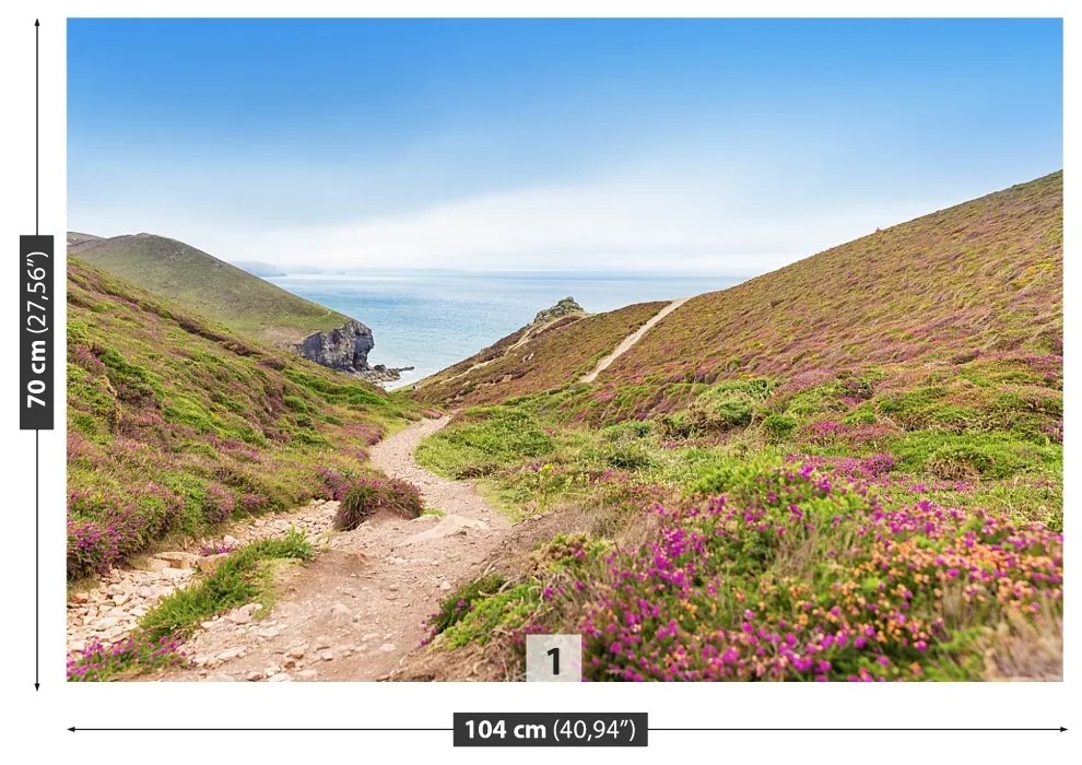 Fototapeta Vliesová Atlantik cornwall 104x70 cm