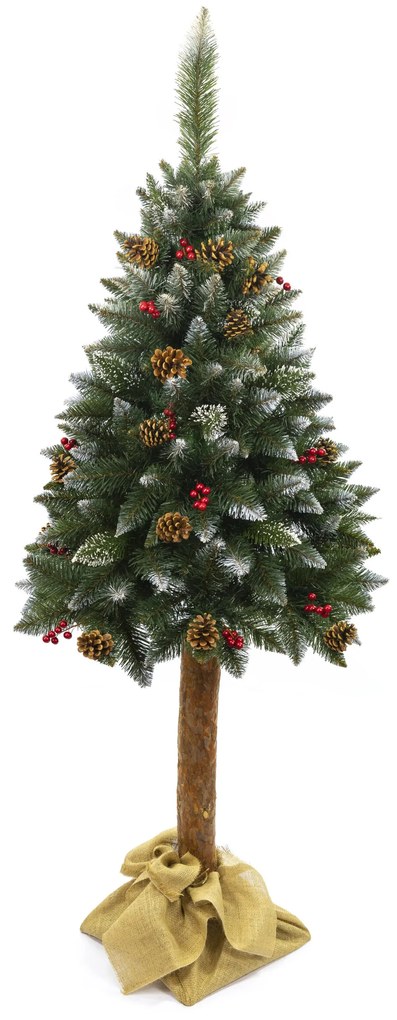 TRENDIE Vianočný stromček Borovica diamantová s jarabinou na pníku 180 cm