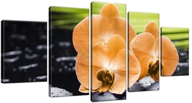 Obraz na plátne Oranžová orchidea 150x70cm 1713A_5B
