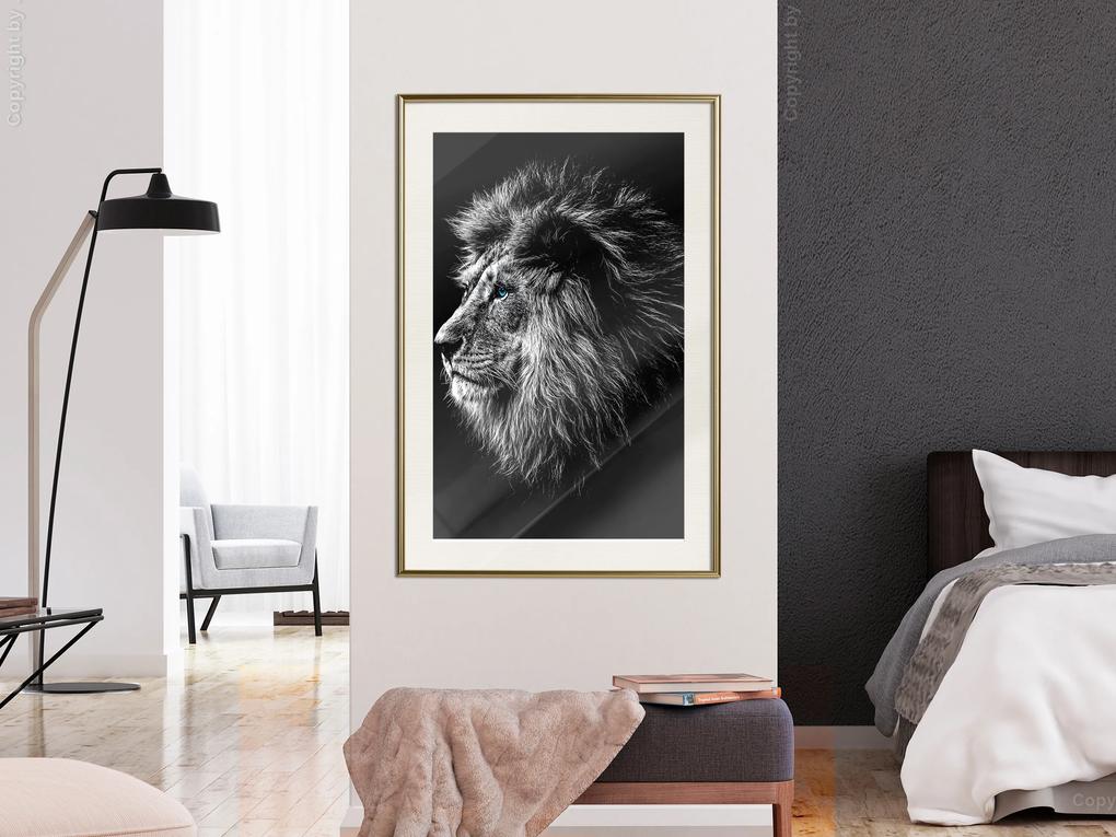 Artgeist Plagát - Blue-eyed Lion [Poster] Veľkosť: 20x30, Verzia: Zlatý rám