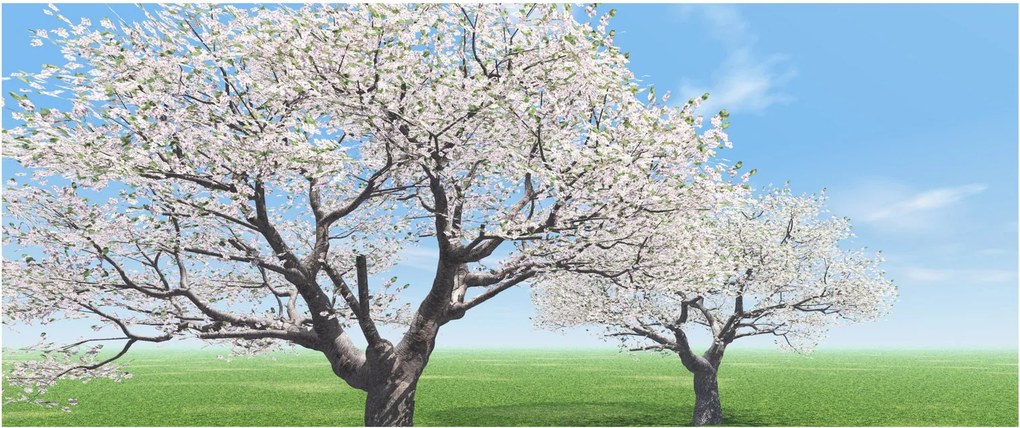 Obraz stromov (120x50 cm)
