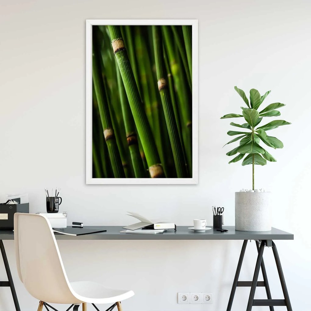 Gario Plagát Bambusový les Farba rámu: Bez rámu, Rozmery: 40 x 60 cm