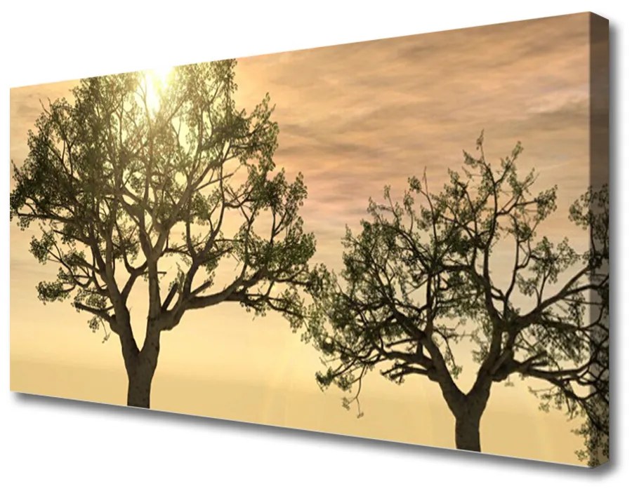 Obraz na plátne Stromy príroda 140x70 cm