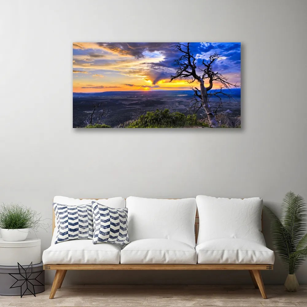Obraz Canvas Strom zápas slnko 120x60 cm