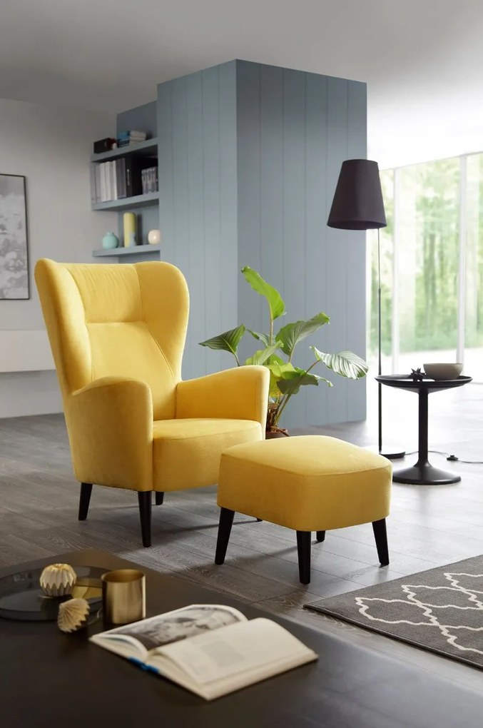 MODERNÉ KRESLO UŠIAK RONY