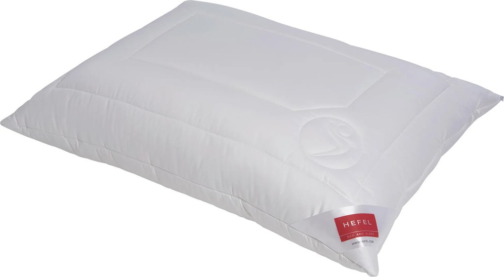 XXXLutz VANKÚŠ, 40/80 cm Hefel Textil - Prikrývky & vankúše - 004636001702