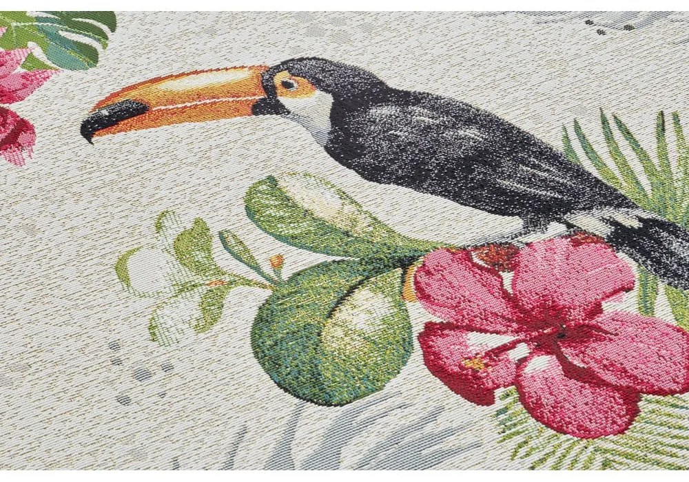 Vonkajší koberec 240x340 cm Flair – Hanse Home