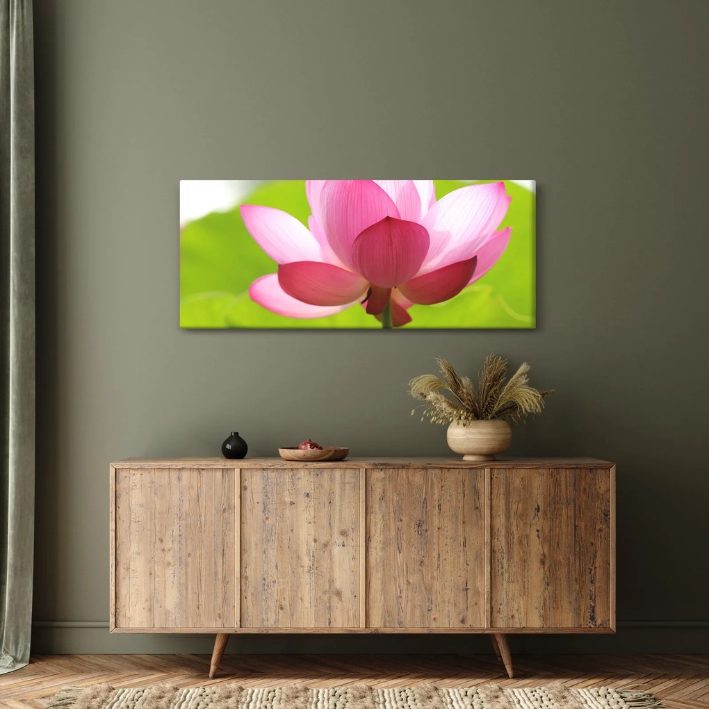 Obraz kvetu Lotusu (120x50 cm)
