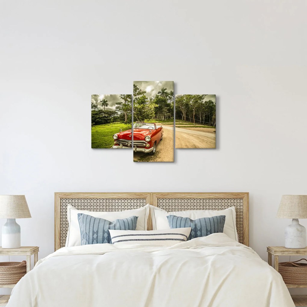 Obraz - auto veterán v prírode (90x60 cm)