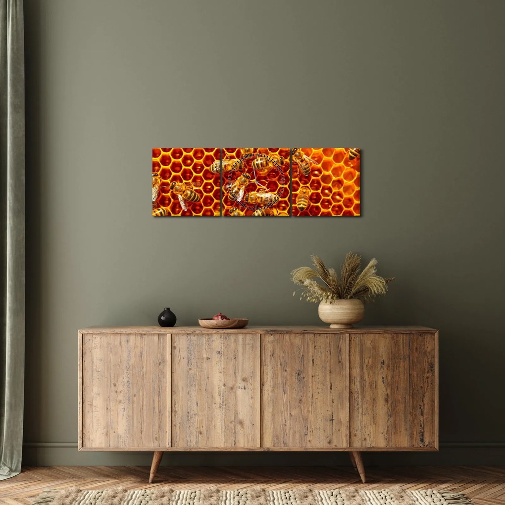Obraz - Medový plást (s hodinami) (90x30 cm)