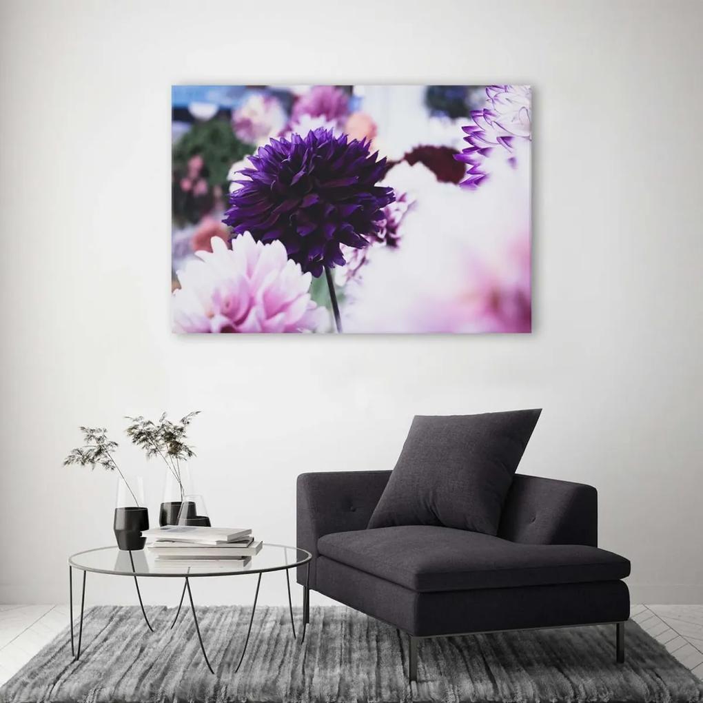 Obraz na plátně Květiny jiřinek Příroda - 60x40 cm