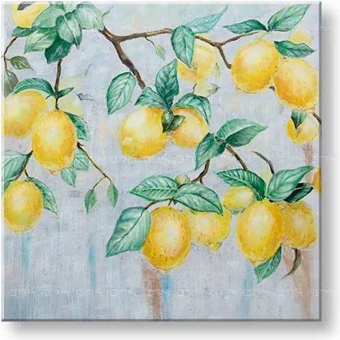 Maľovaný obraz na stenu CITRÓNY 60x60 cm