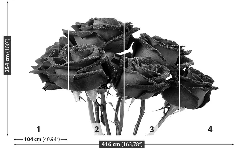 Fototapeta Vliesová Čierne ruže 250x104 cm