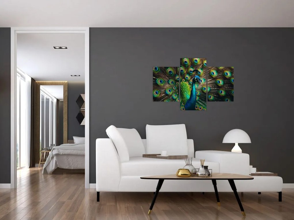 Obraz – Páv (90x60 cm)