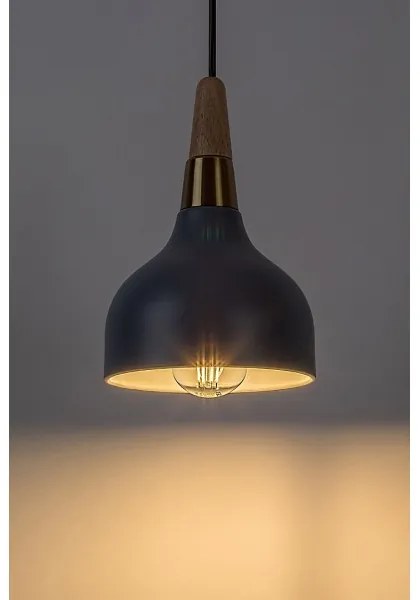 Rabalux 72135 - Luster na lanku DRUSILLA 1xE27/40W/230V