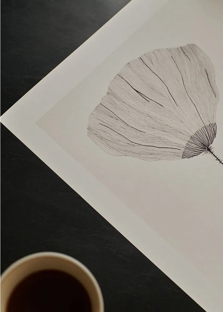 Moikka Plagát Poppy by Ana Frois 30x40 cm