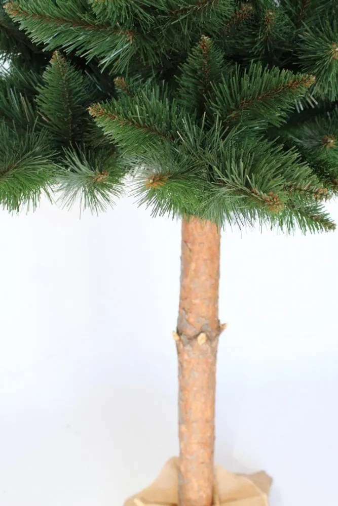 Krásný vianočný stromček borovica s kmeňom 220 cm