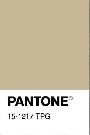 Obliečka na vankúš ALISA Kenya 40x40 cm - béžová