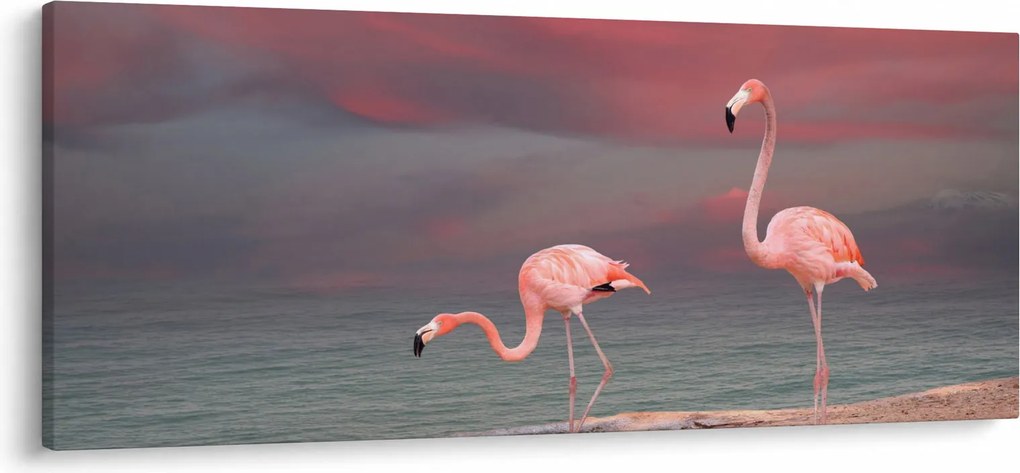 Obraz plameniakov (120x50 cm)