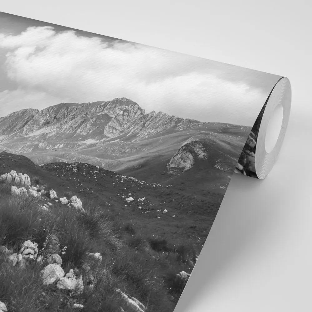Samolepiaca fototapeta čiernobiele údolie v Čiernej Hore - 150x100