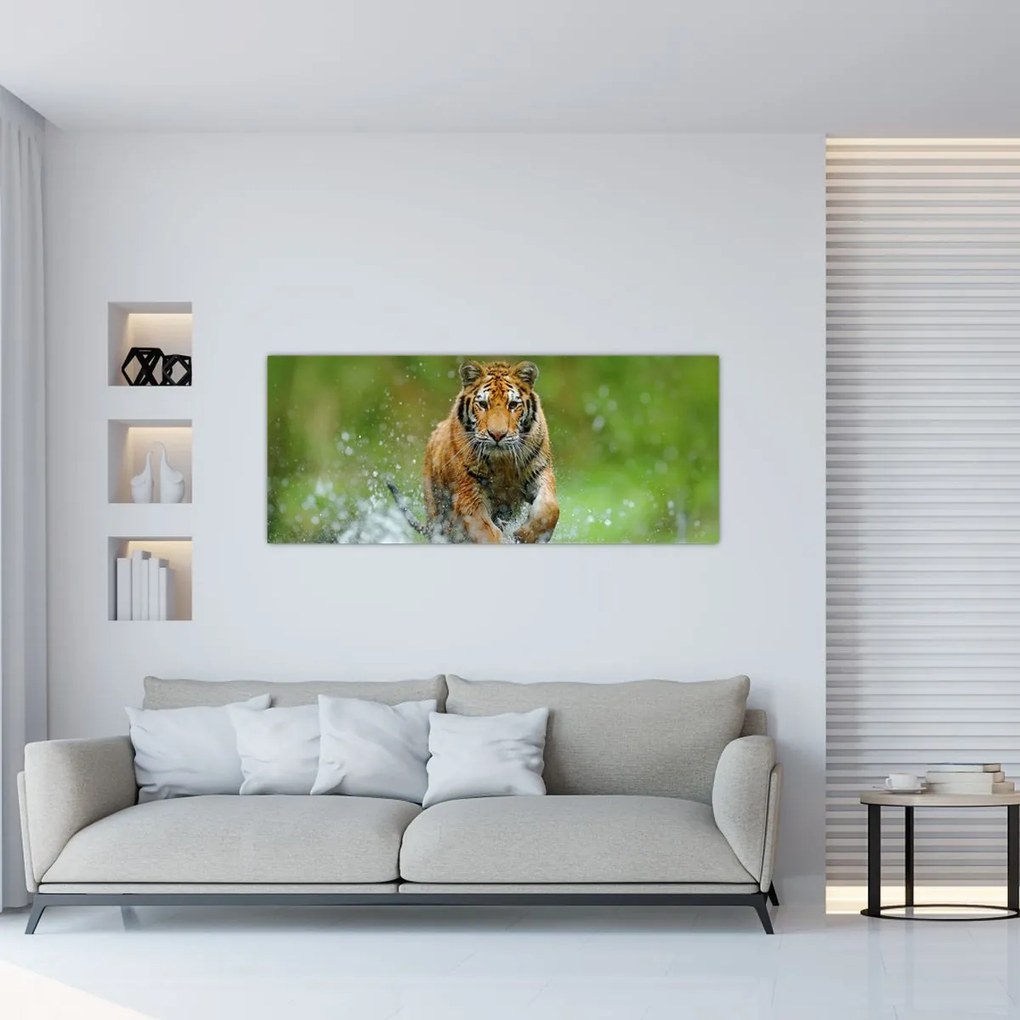 Obraz - Bežiaci tiger (120x50 cm)