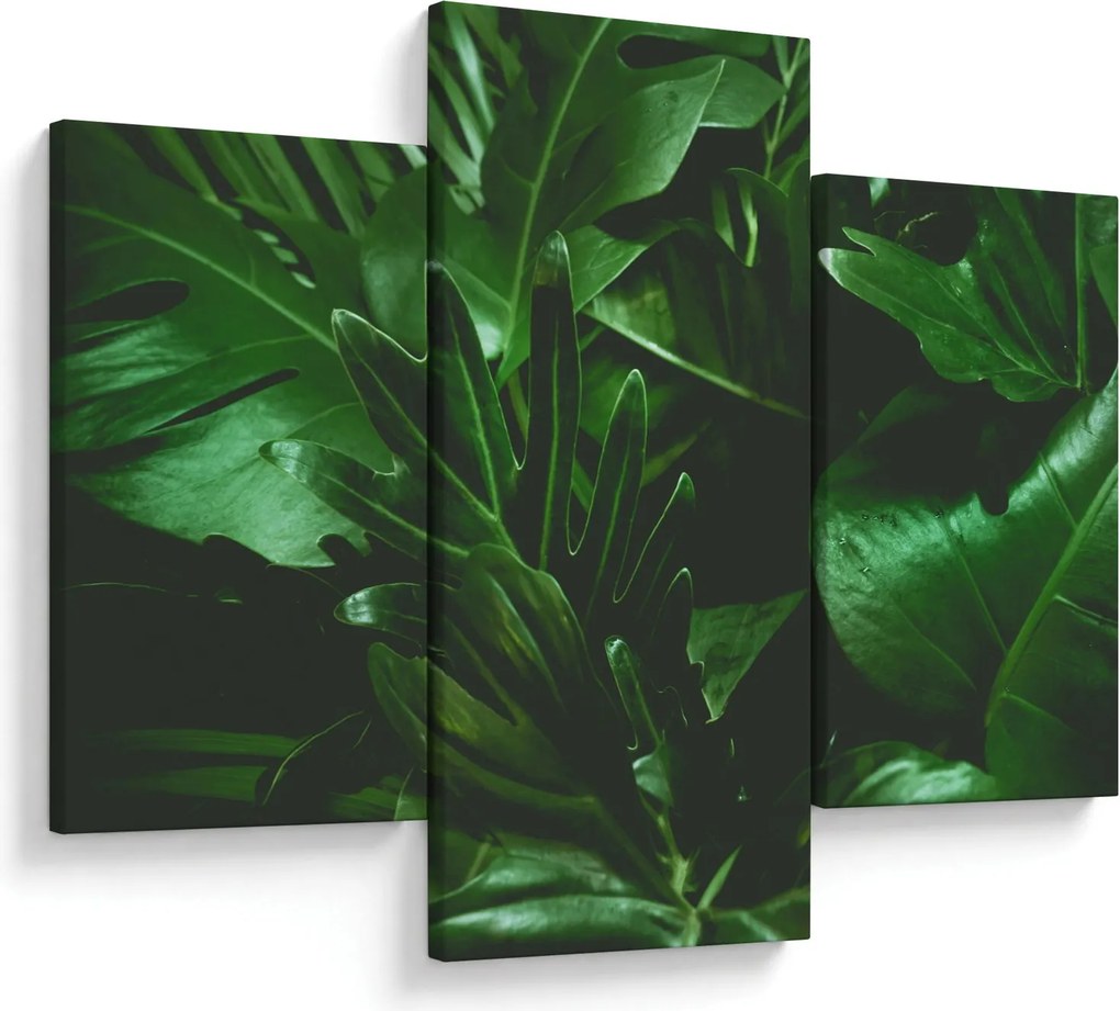 Obraz - Palmové listy (90x60 cm)