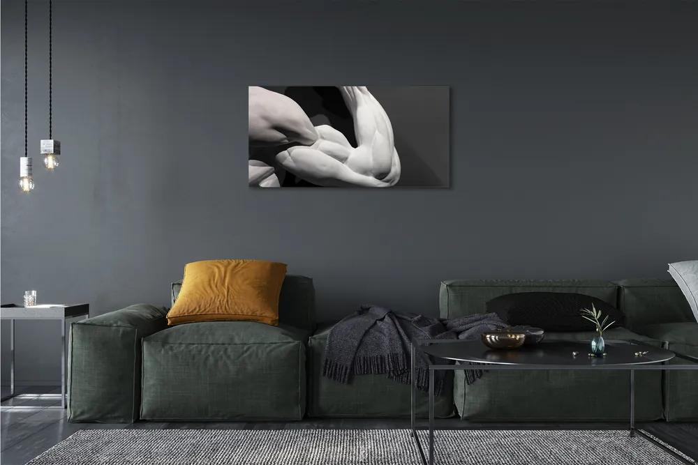 Obraz canvas Sval black and white 125x50 cm