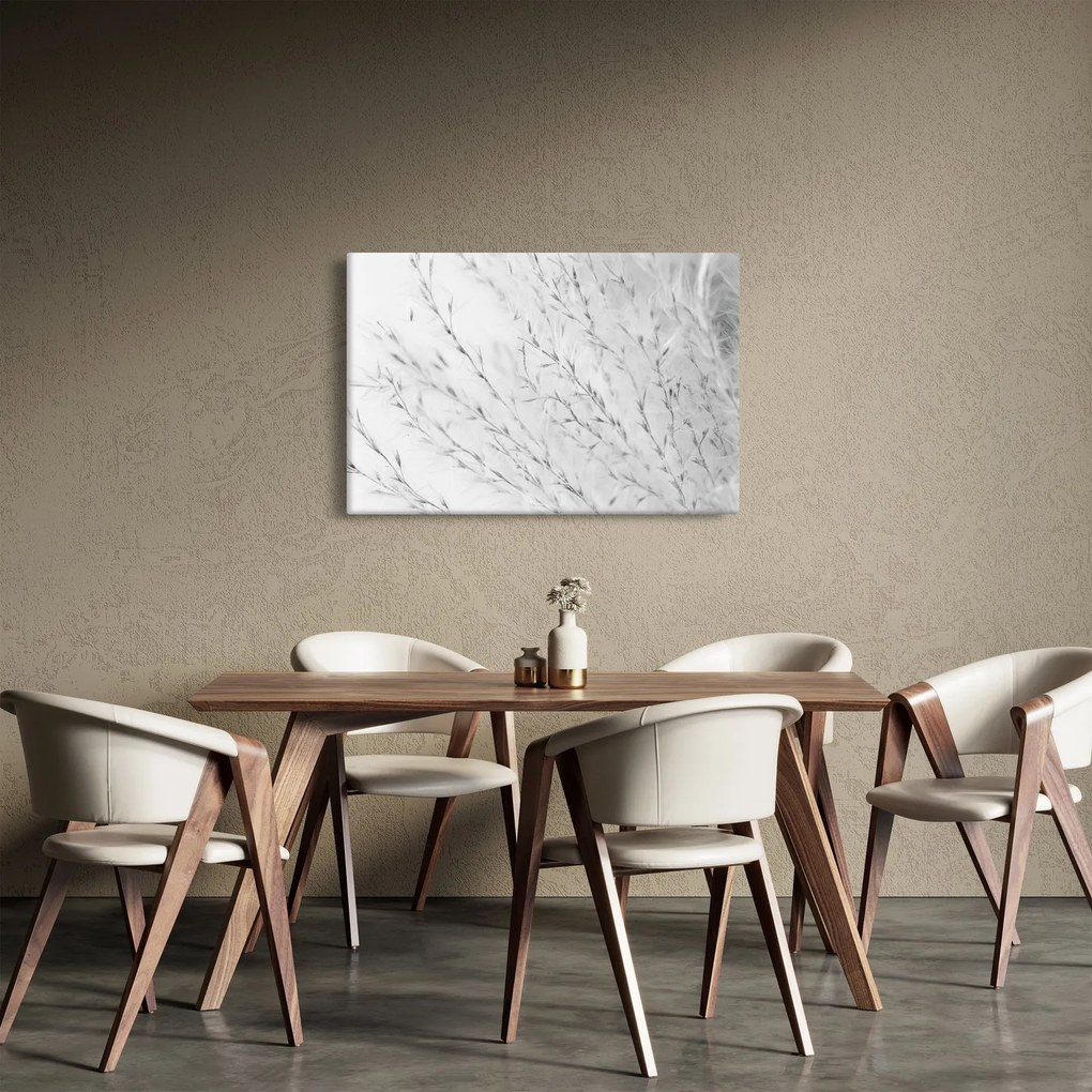 Obraz - Pampas grass N⁰2 (90x60 cm)
