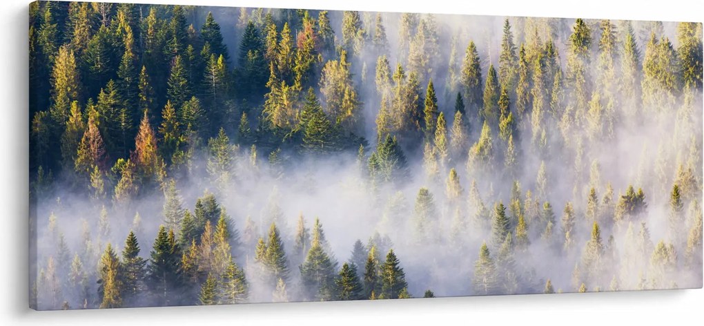 Obraz stromov v hmle (120x50 cm)