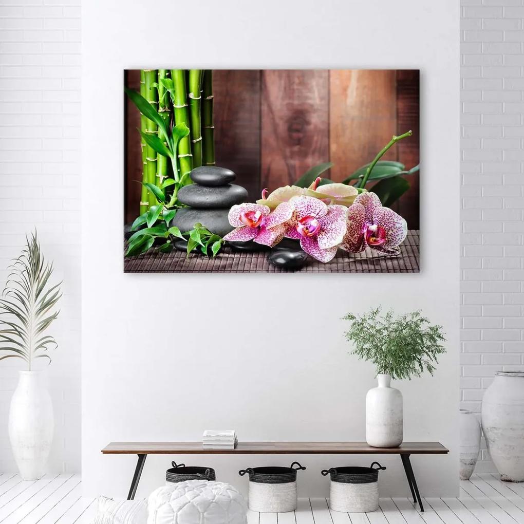 Obraz na plátně Orchidej Květiny Příroda - 60x40 cm